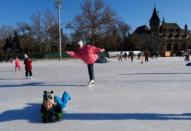 An elderly woman skates in sub-zero temperatures at the City Park Ice Rink in Budapest, Hungary, January 6, 2017. REUTERS/Laszlo Balogh