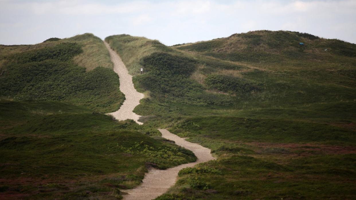 Ein Fußweg schlängelt sich durch das Naturschutzgebiet «Rantumer Dünen». Der Klimawandel bedroht die Sylt-typische Dünenvegetation. Foto: Christian Charisius