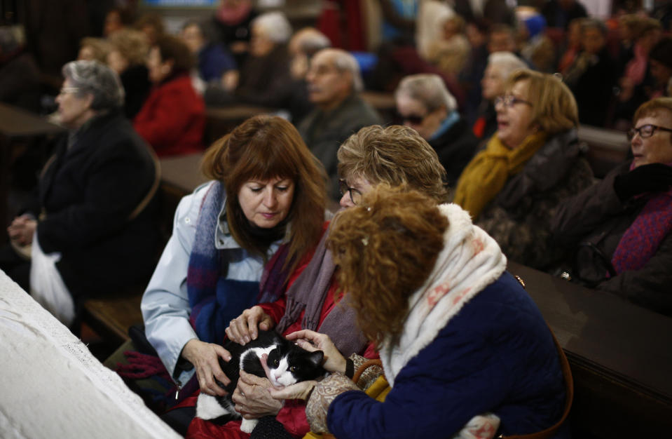 A woman holds a cat at the San Anton church during the feast of Saint Anthony, Spain’s patron saint of animals in Madrid, Jan. 17, 2019. (Photo: Manu Fernandez/AP)