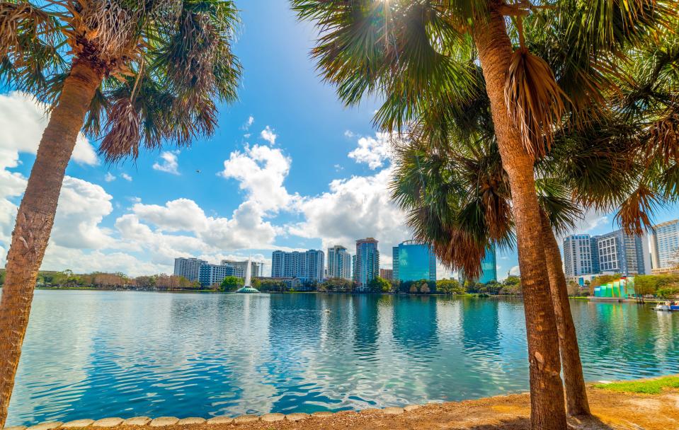 Palm trees by a body of water, with a city skyline in the background.