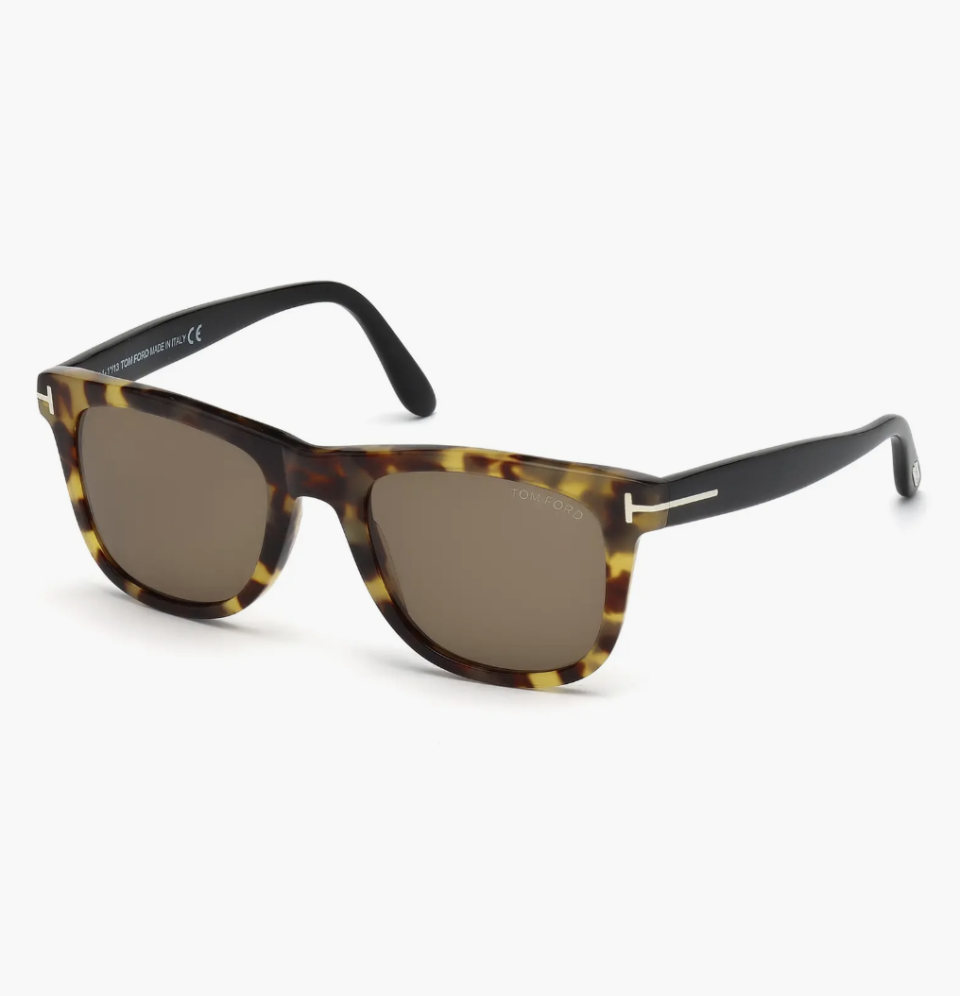 Tom Ford Leo 52mm Retro Sunglasses (Photo Credit Nordstrom)