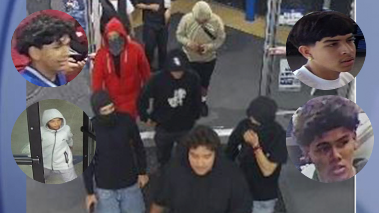 <div>Some of the suspects wanted by LAPD in connection to a series of retail burglaries in the LA area (Photos courtesy LAPD).</div>