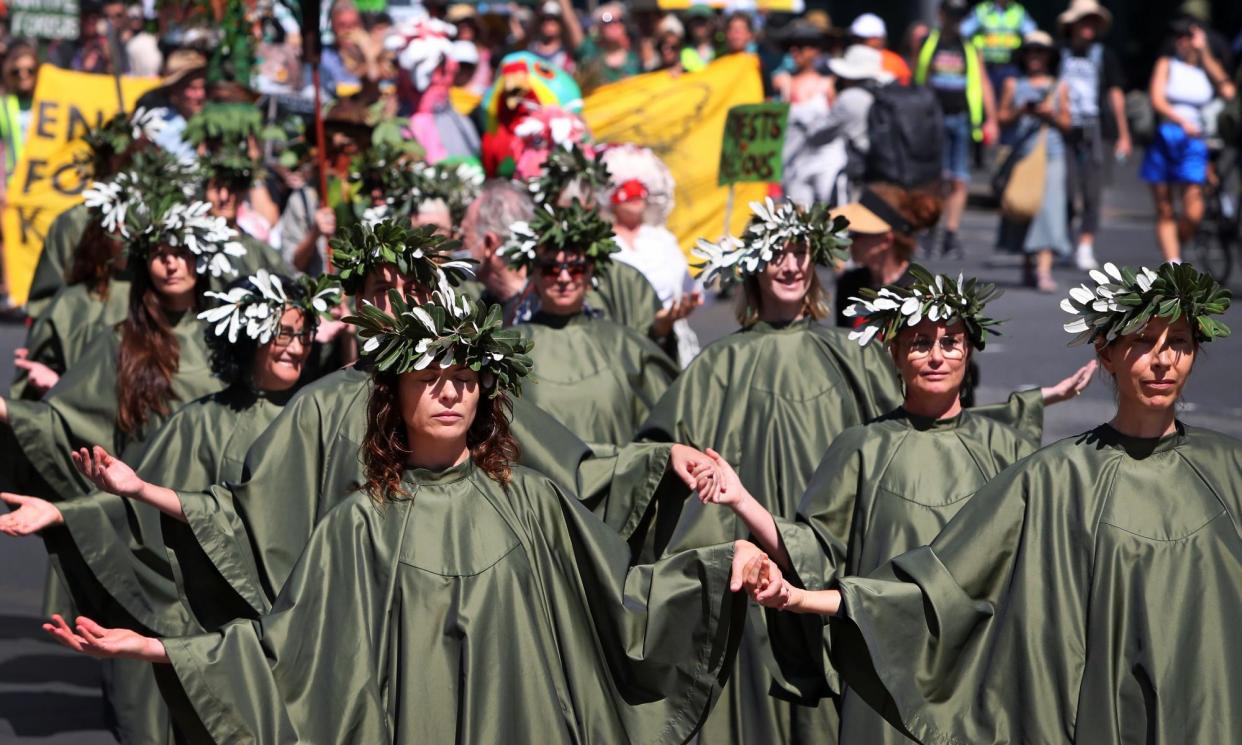 <span>March In March For Forests protesters in Sydney. Organisers said turnout reflected a growing understanding among the public of the growing dangers of extinction some native species face.</span><span>Photograph: Lisa Maree Williams/Getty Images</span>