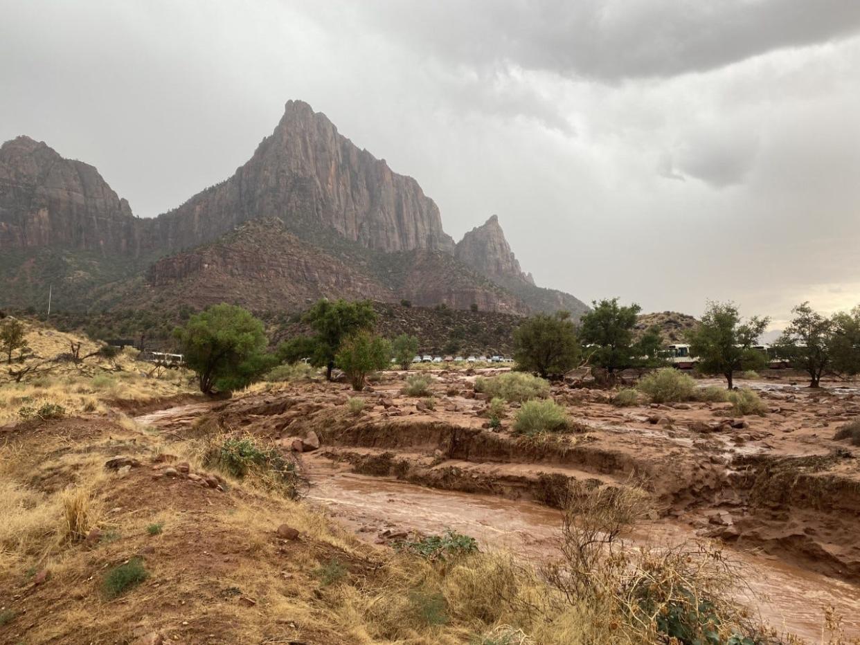 Flash flooding hits Zion National Park in this file photograph from June 29, 2021. Roaming thunderstorms this week has authorities warning about the potential for sudden flooding in isolated areas.