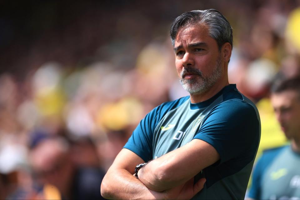 David Wagner has been sacked by Norwich (Getty Images)