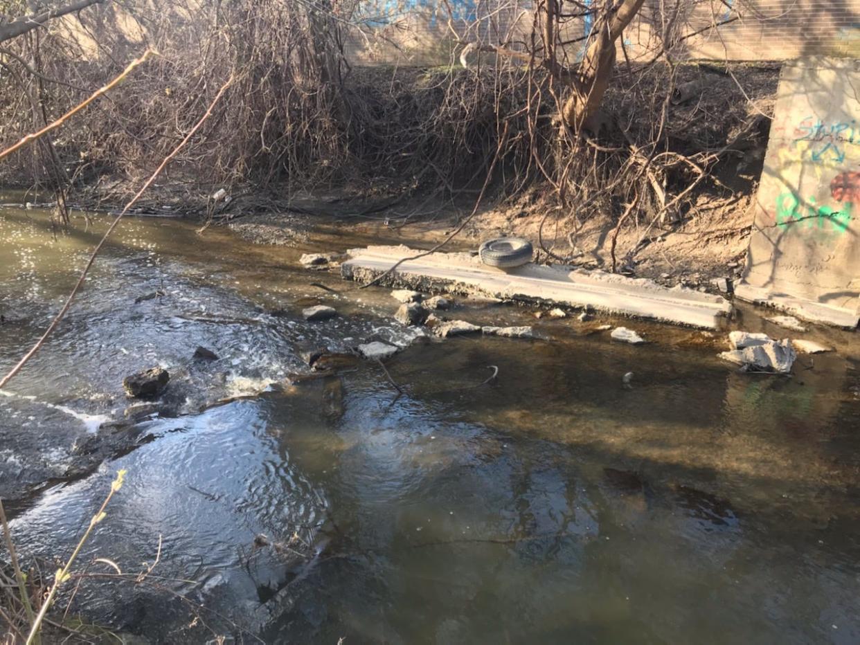 A view of Ecorse Creek beside Thunderbowl Lanes in Allen Park shows an old tire sitting on concrete debris while another tire is partly visible underwater in midstream on April 8, 2024. Friends of the Detroit River are planning clean-up dates this summer.