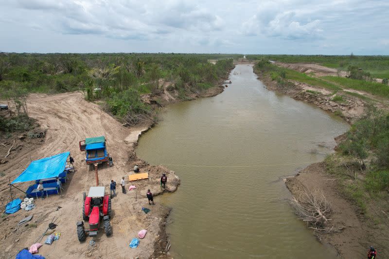 Twenty four dolphins trapped in river get rescued, in Rio Grande