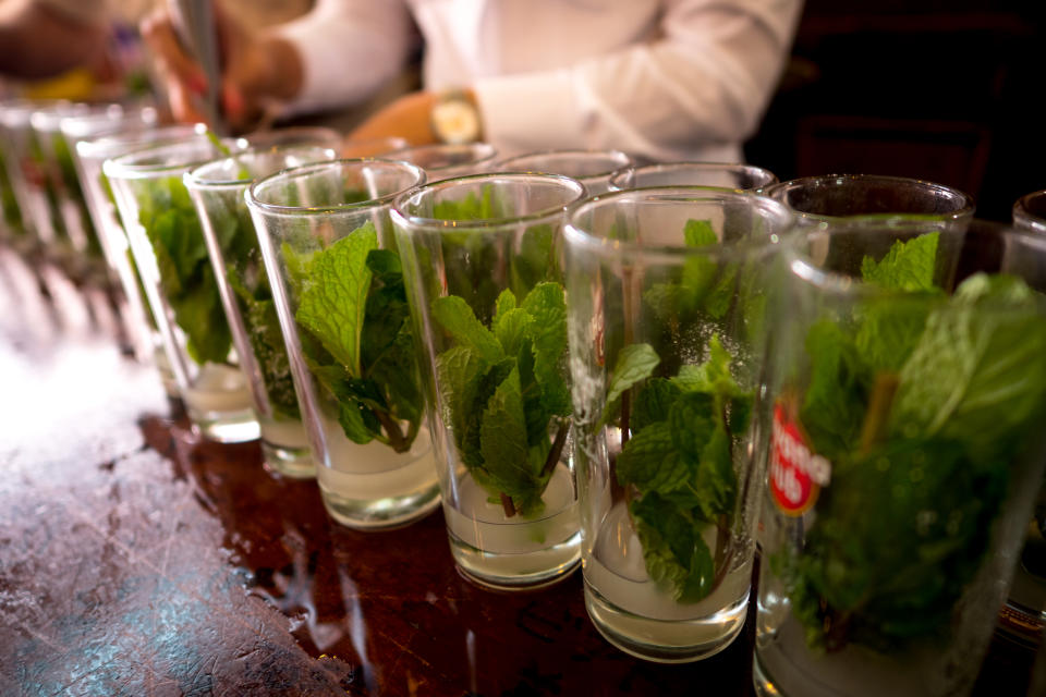 According to a Bacardi survey, the Cuban Mojito was the second most popular cocktail in the world. 