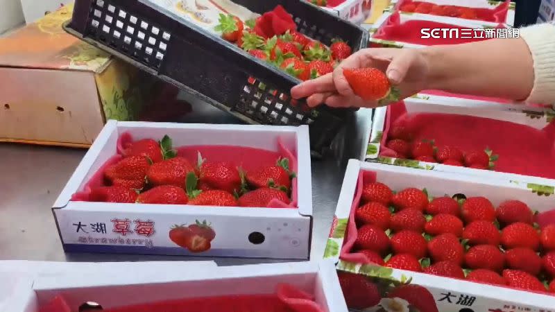 草莓的零售價格一斤也飆破600元。