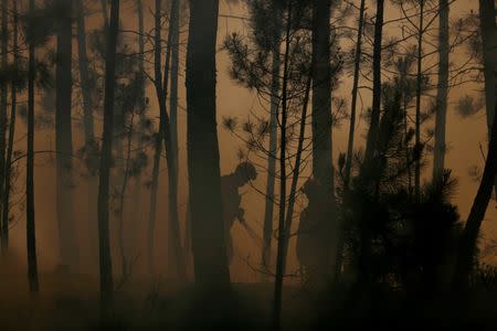 Firefighters work to put out fire during a forest fire in Capelo, near Gois, Portugal, June 21, 2017. REUTERS/Rafael Marchante