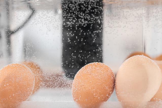 The Gourmia Electric Egg Cooker Makes Boiled Eggs a Breeze