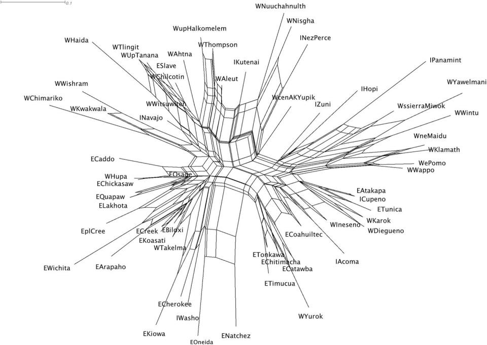 spider shaped diagram labeled with languages