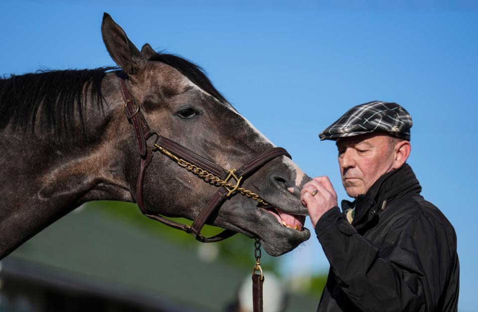 Kentucky Derby hopeful Reincarnate gets a scratch from Peter Hutton Tuesday morning at Churchill Downs May 2, 2023, in Louisville, Ky.