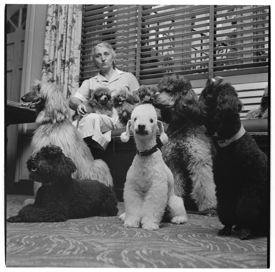 This photo, entitled “A Dog’s Life in the Big City”, shows a pack of canines—full of character—taken in 1949. It was part of a series that looked at what day-to-day life was like for upper-class pets of the city and their rich owners. “Kubrick’s ability to see and translate an individual's complex psychological life into visual form was apparent in his many personality profiles for the publication,” says Corcoran. “His experiences at the magazine also offered him opportunities to explore a range of artistic expressions.”