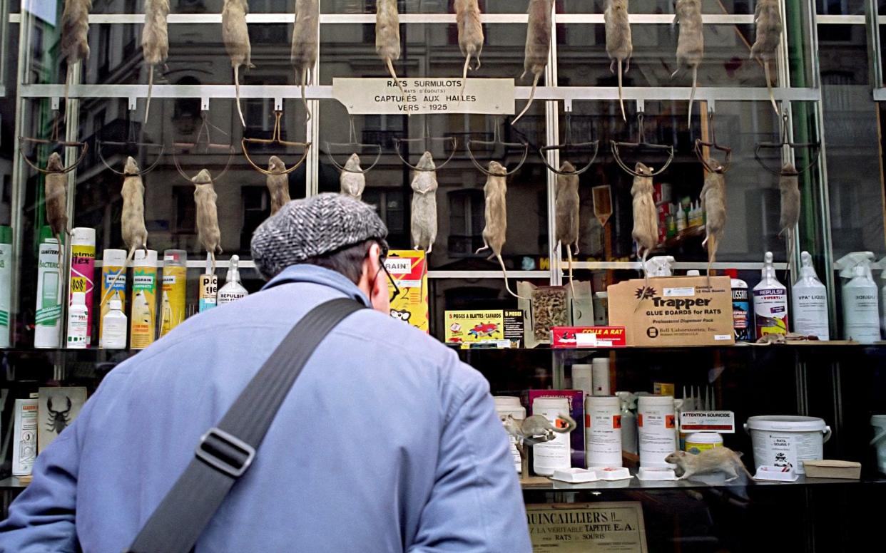 Maison Aurouze is reportedly the oldest rat catcher in Paris