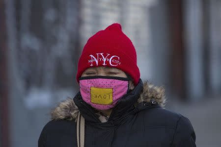 A woman walks down Delancey Street in Lower Manhattan, New York February 16, 2015. REUTERS/Andrew Kelly