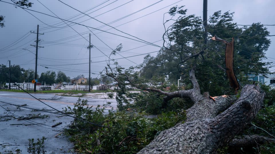 A fallen tree blocks an intersection in Houma, Louisiana on Wednesday. - Brandon Bell/Getty Images