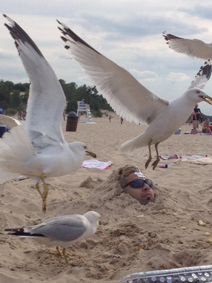 20 of the most perfectly times pictures