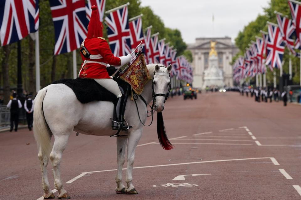 A military horse on The Mall ahead of the procession (via REUTERS)