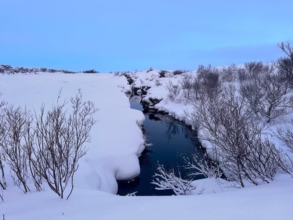 A snowy plain with a river running through it. Bare bushes surround the water and a blue sky surrounds the scene