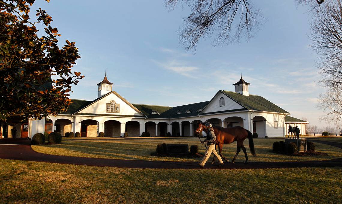 Spendthrift Farm on Iron Works Pike in Lexington is one of several Thoroughbred operations that will offer behind-the scenes tours during Breeders’ Cup Festival Week.