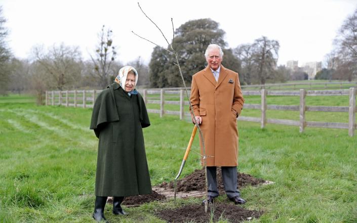 Queen Elizabeth II and The Prince of Wales with the first Jubilee tree in the grounds of Windsor Castle earlier this year, on March 23, 2021 - Chris Jackson/Getty Images