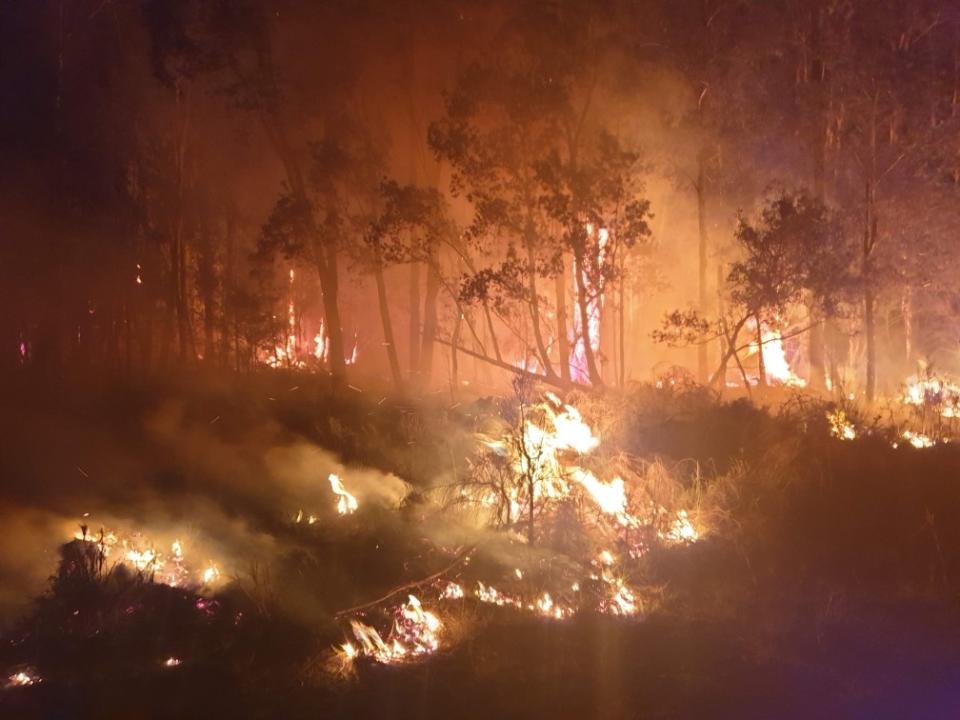 A dark burning forest near the Cassegrain Wines vineyard. The ground is covered in fires. 