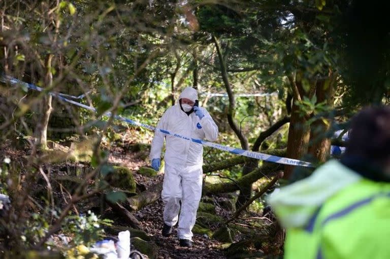 El bosque donde se encontró el cráneo