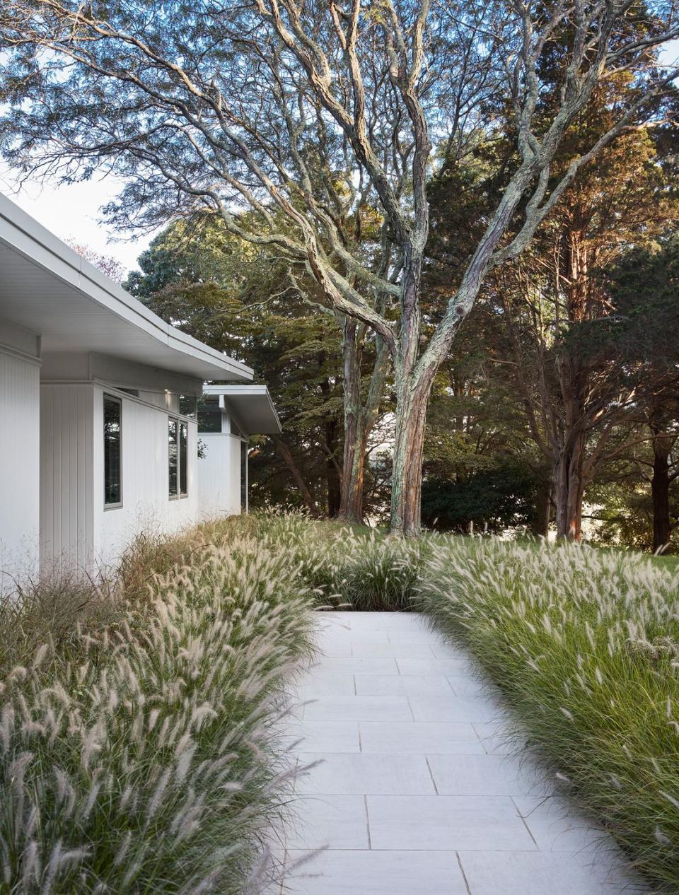 walkway in front of house