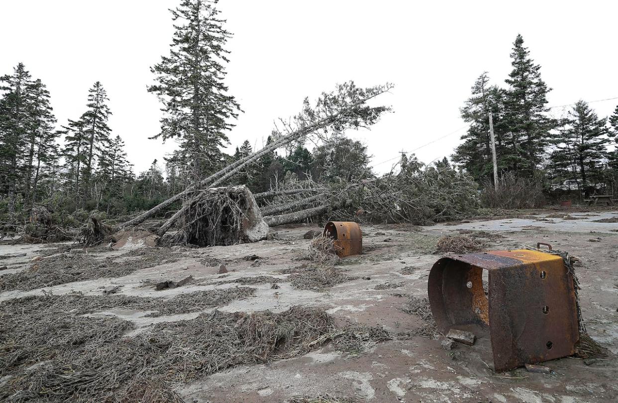 Infrastructure was damaged and trees were uprooted at Rissers Beach Provincial Park during post-tropical storm Lee on Sept. 16. (Communications Nova Scotia - image credit)