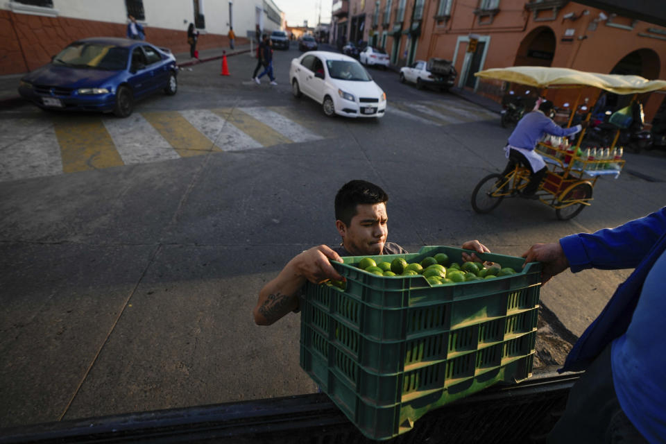 A man loads lemon onto a truck in Maravatio, Michoacan state, Mexico, on Tuesday, Feb. 27, 2024. Two mayoral hopefuls in this city were gunned down the previous day within hours of each other. (AP Photo/Fernando Llano)