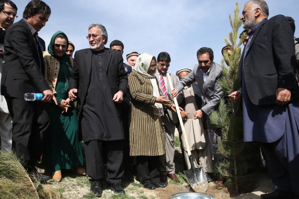 In this photo taken on Monday, March 19, 2014, Afghan presidential candidate Zalmai Rassoul, center left, with glasses, and his two vice presidential candidates plant a tree during a campaign rally in Kabul, Afghanistan. (AP Photo/Massoud Hossaini)