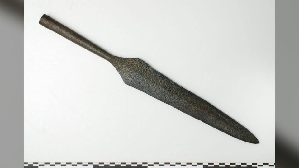 Viking spear