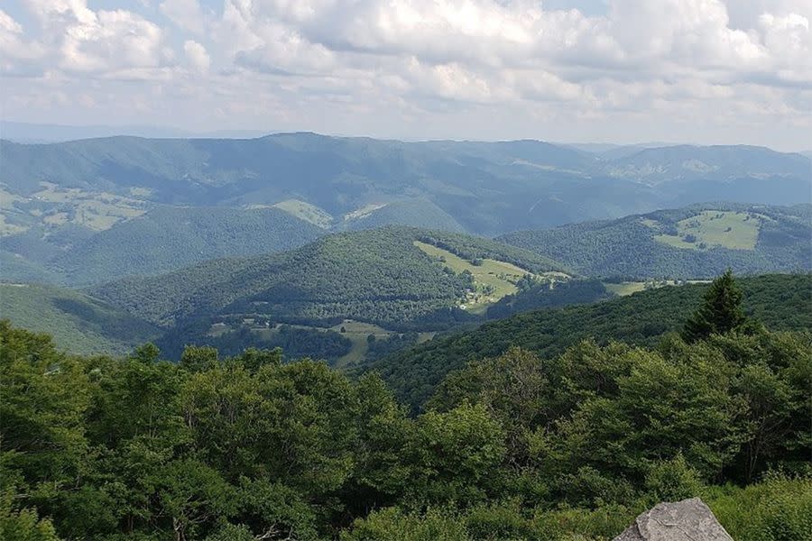 Spruce Knob Trail, West Virginia