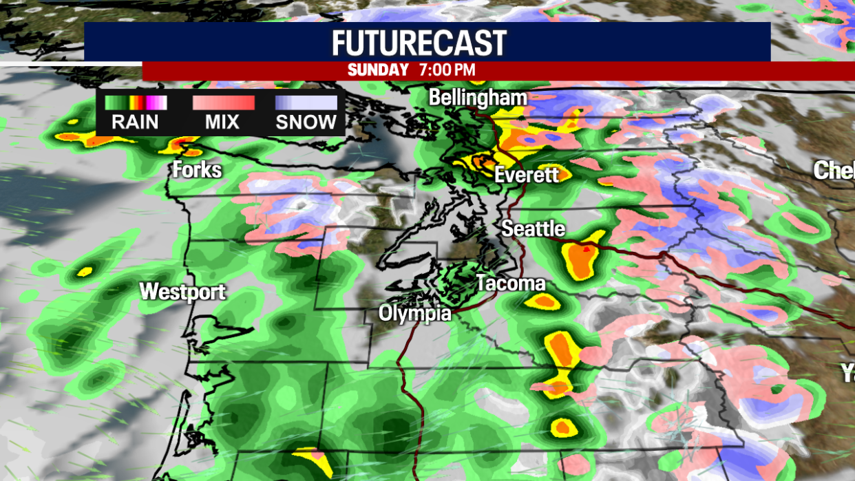 <div>Futurecast at 7 p.m. in Western Washington</div> <strong>(FOX 13 Seattle)</strong>