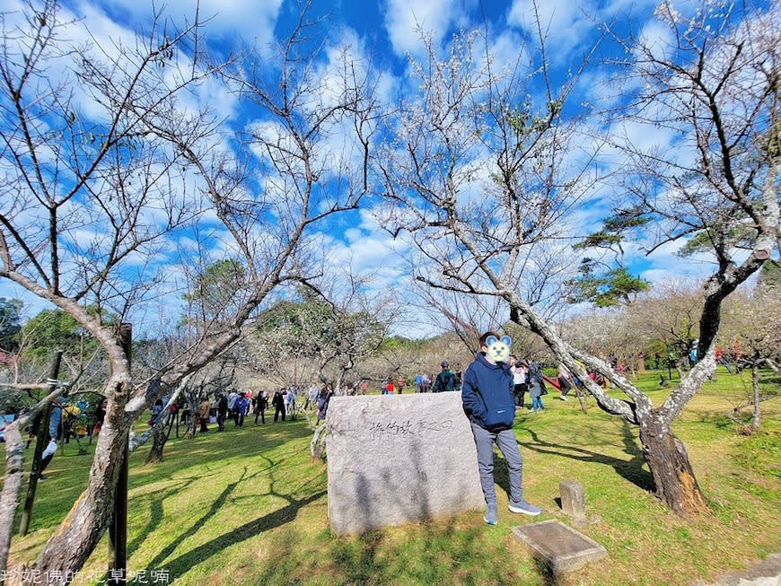 2022角板山梅花季