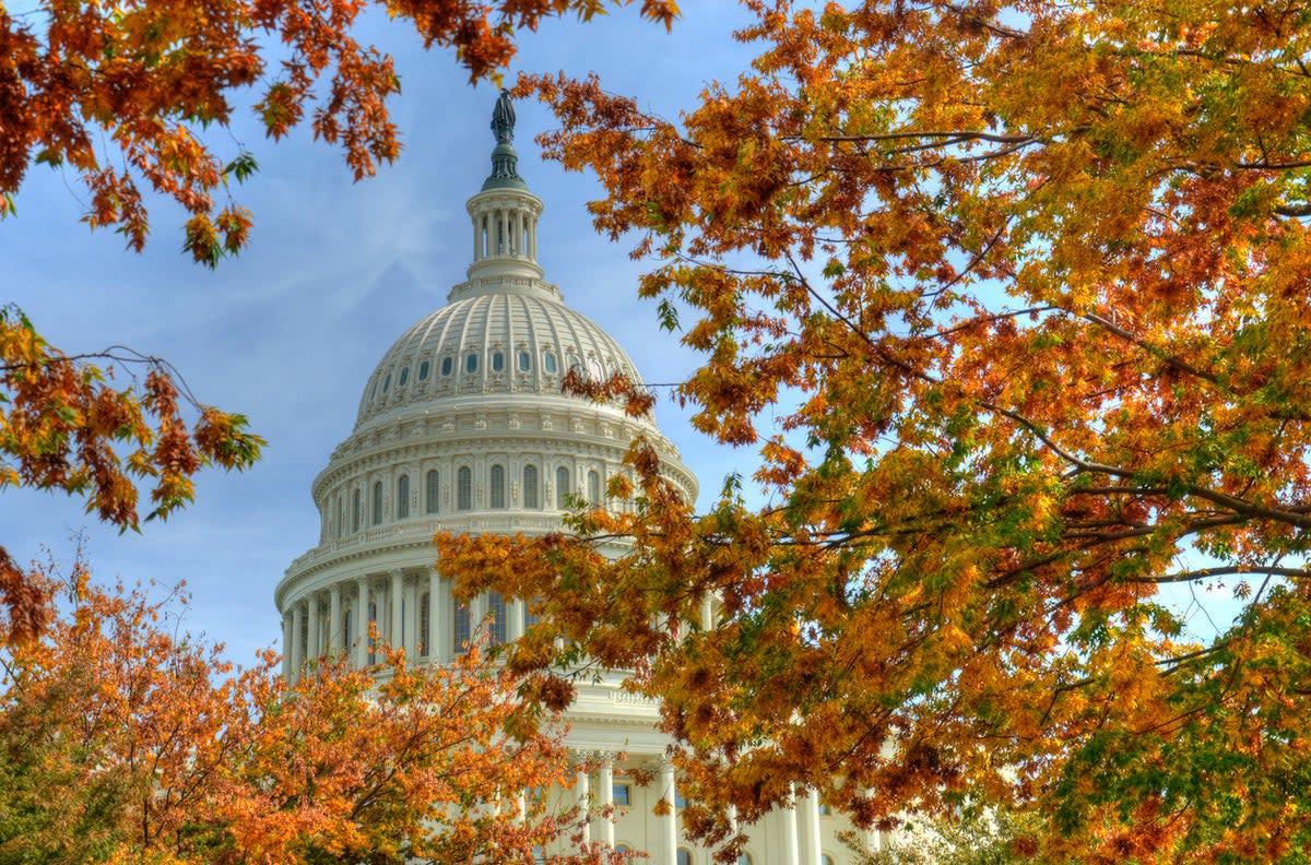 The Capitol building in Washington DC (Getty Images)