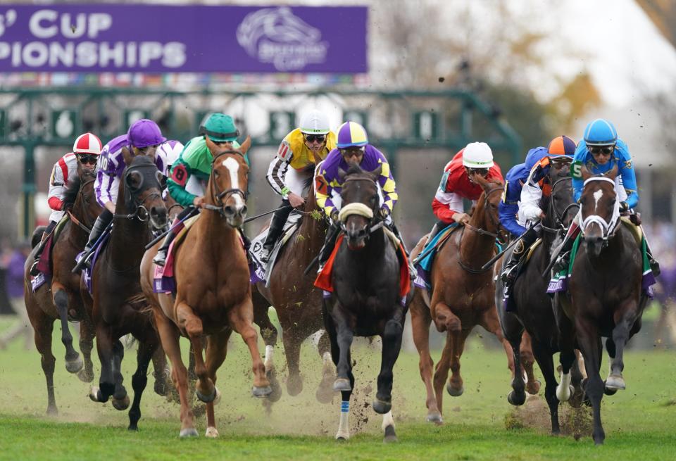 The horses race to the first turn in the Breeders' Cup Mile Nov. 5 at Keeneland Race Course in Lexington, Ky.