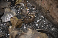 A charred jawbone is seen in the debris of home set on fire during clashes between armed gangs in the Butte Boyer neighborhood of Port-au-Prince, Haiti, Friday, May 13, 2022. The United Nations said that civilians are being burned alive and that children as young as 10 are being gang raped. (AP Photo/Odelyn Joseph)