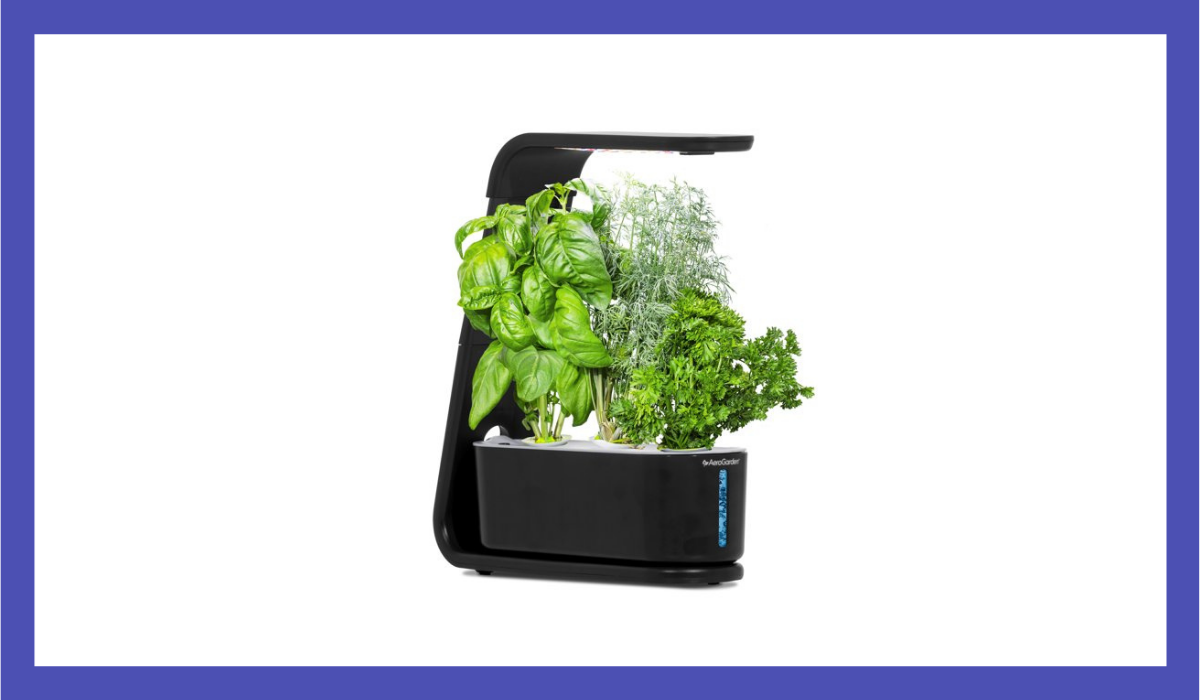 This hydroponic garden will fit anywhere. (Photo: Walmart)