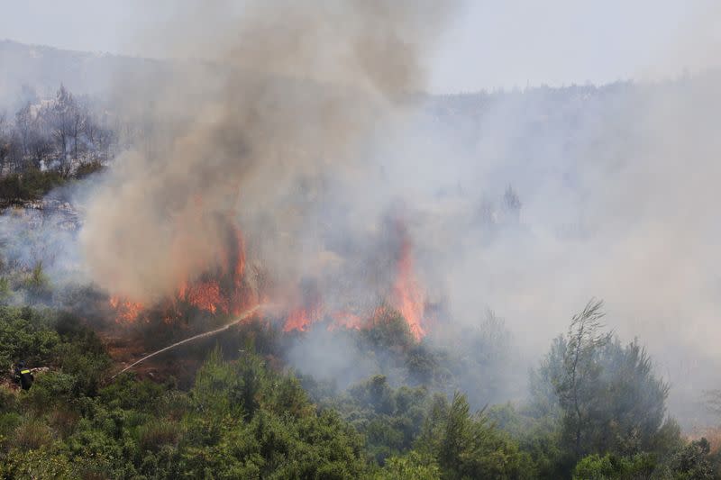 Wildfire burns in Dervenochoria