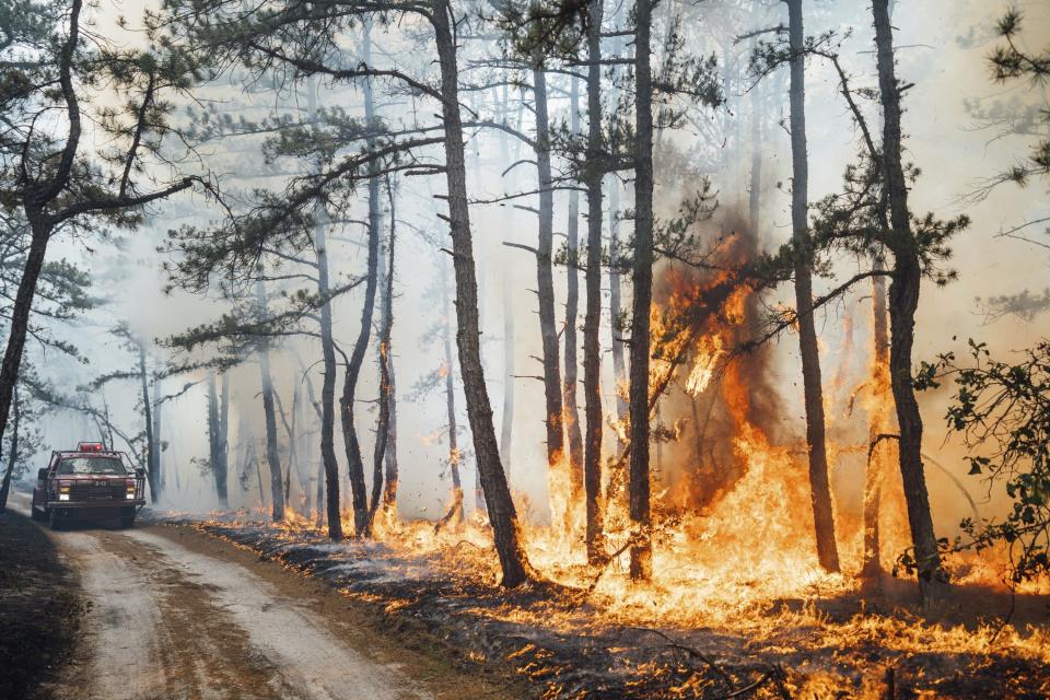 This Saturday, July 6, 2024 image provided by the New Jersey Department of Environmental Protection shows members of the New Jersey Forest Fire Service getting ready to battle a forest fire in Tabernacle, N.J. The fire had burned 4,000 acres and was 75% contained as of Monday July 8. (New Jersey Department of Environmental Protection via AP)