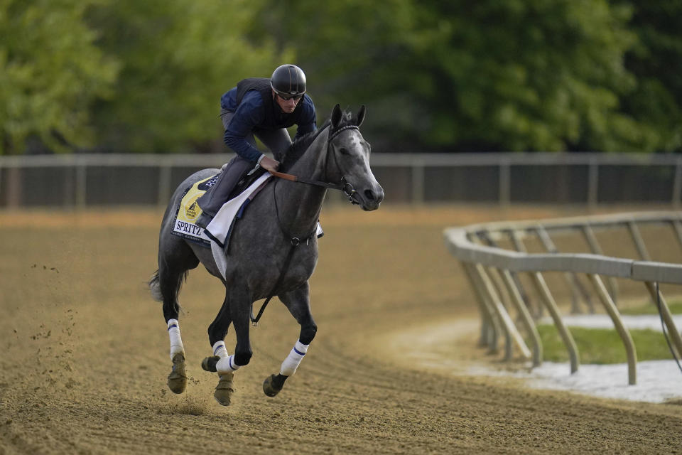 Black-Eyed Susan horse race entrant Spritz works out during a training session ahead of the race at Pimlico Race Course, Wednesday, May 12, 2021, in Baltimore. (AP Photo/Julio Cortez)