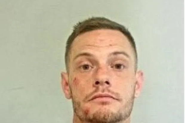 'Dangerous offender' wanted in connection with police officer assaults