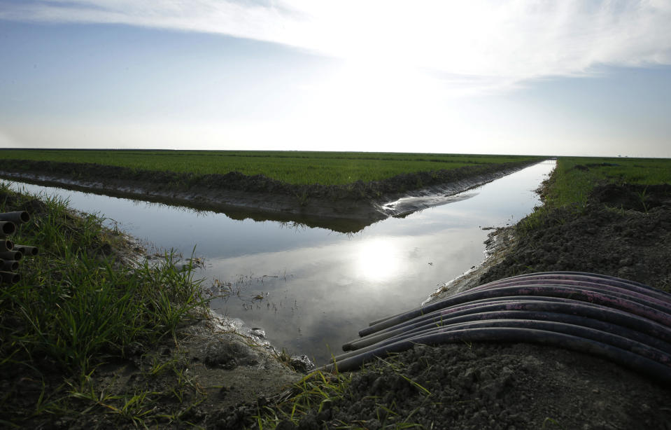 FILE - Water flows through an irrigation canal to crops near Lemoore, Calif., Feb. 25, 2016. A proposal in the California state Senate aims to keep more water in California's rivers and streams to benefit endangered species of fish. Under the plan the state would spend up to $1.5 billion to buy up "senior water rights" that farmers use to take water from the state's rivers and streams to grow their crops. (AP Photo/Rich Pedroncelli, File)