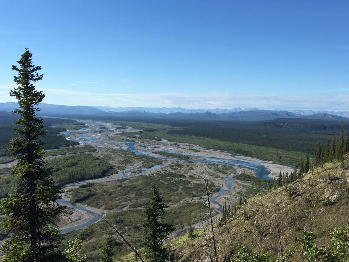 The Wind River is part of the Peel watershed region in northern Yukon. The Yukon Environmental and Socio-economic Assessment Board has turned down a proposal to drill for silver, zinc and lead in the area. (Ellen Woodley - image credit)