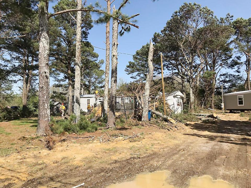 Trees were downed and homes were damaged by a Saturday tornado in Sardis City.