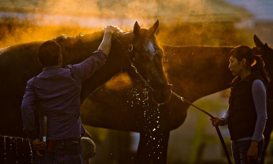 Many of horse racing’s so-called ‘backstretch’ workers come from Central and South America, and are threatened by the recent spate of raids.