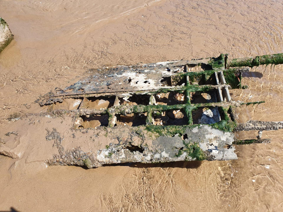 The wreckage of the WWII RAF Bristol Beaufighter which has been discovered on a Cleethorpes beach in in North East Lincolnshire. See SWNS story SWLEplane. A pair of dog walkers stumbled across the wreckage of a rare WWII RAF fighter plane hidden on a beach where it had been buried under the sand for 76 YEARS. Debi Hartley, 51, was on a casual walk with her partner Graham Holden, 54, and their dog Bonnie when they made the one in a million discovery.  The carcass of the airplane revealed itself on an undisclosed patch on Cleethorpes beach, with its wings protruding through the shifting sands. The RAF confirmed that the wreckage is one of their Bristol Beaufighter, believed to be aircraft serial number JM333 of 254 Squadron RAF.