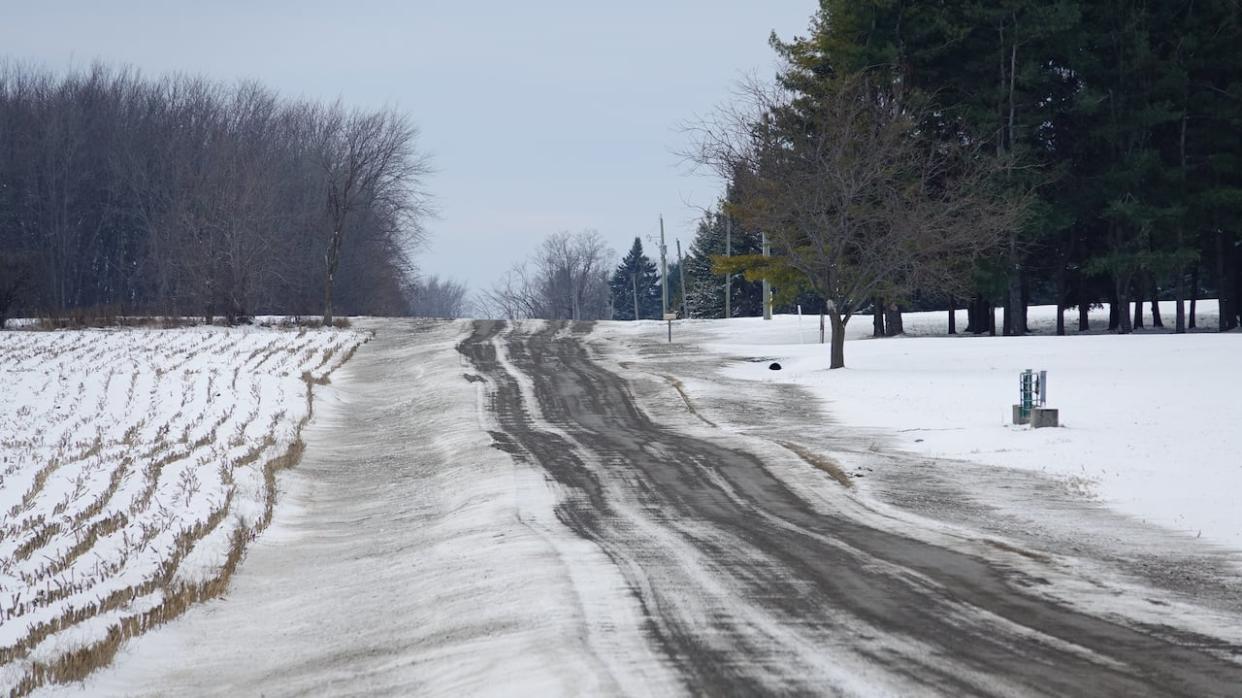 The Municipality of North Dundas graded Thompson Road earlier this month. Some people living along the gravel road want it resurfaced.  (Stu Mills/CBC - image credit)